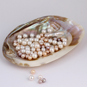 sladkovodná perlorodka s perlami
